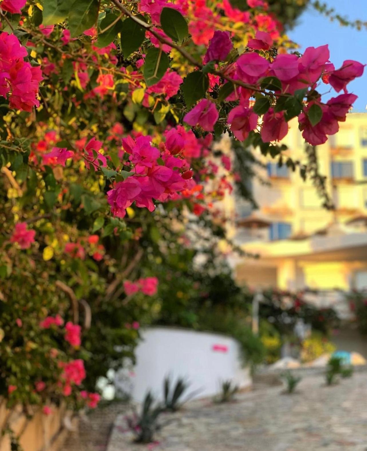 Bellavista Apartments Bougainville Bay Saranda Kültér fotó